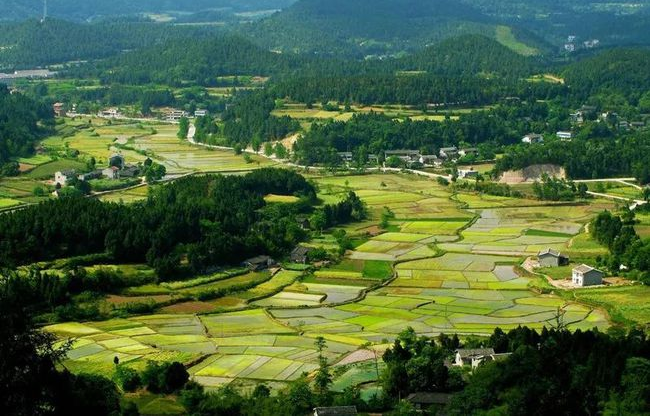 1721814160145301.png 1.png