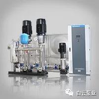 1544770559777963.jpg 3.jpg