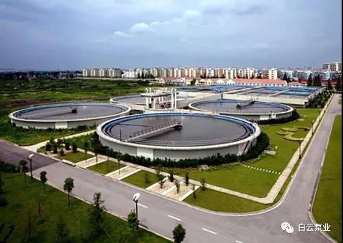 1544771089383719.jpg 2.jpg